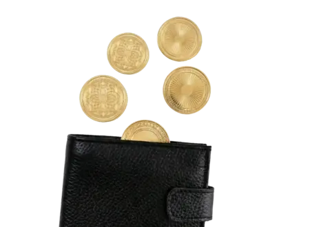 wallet-img