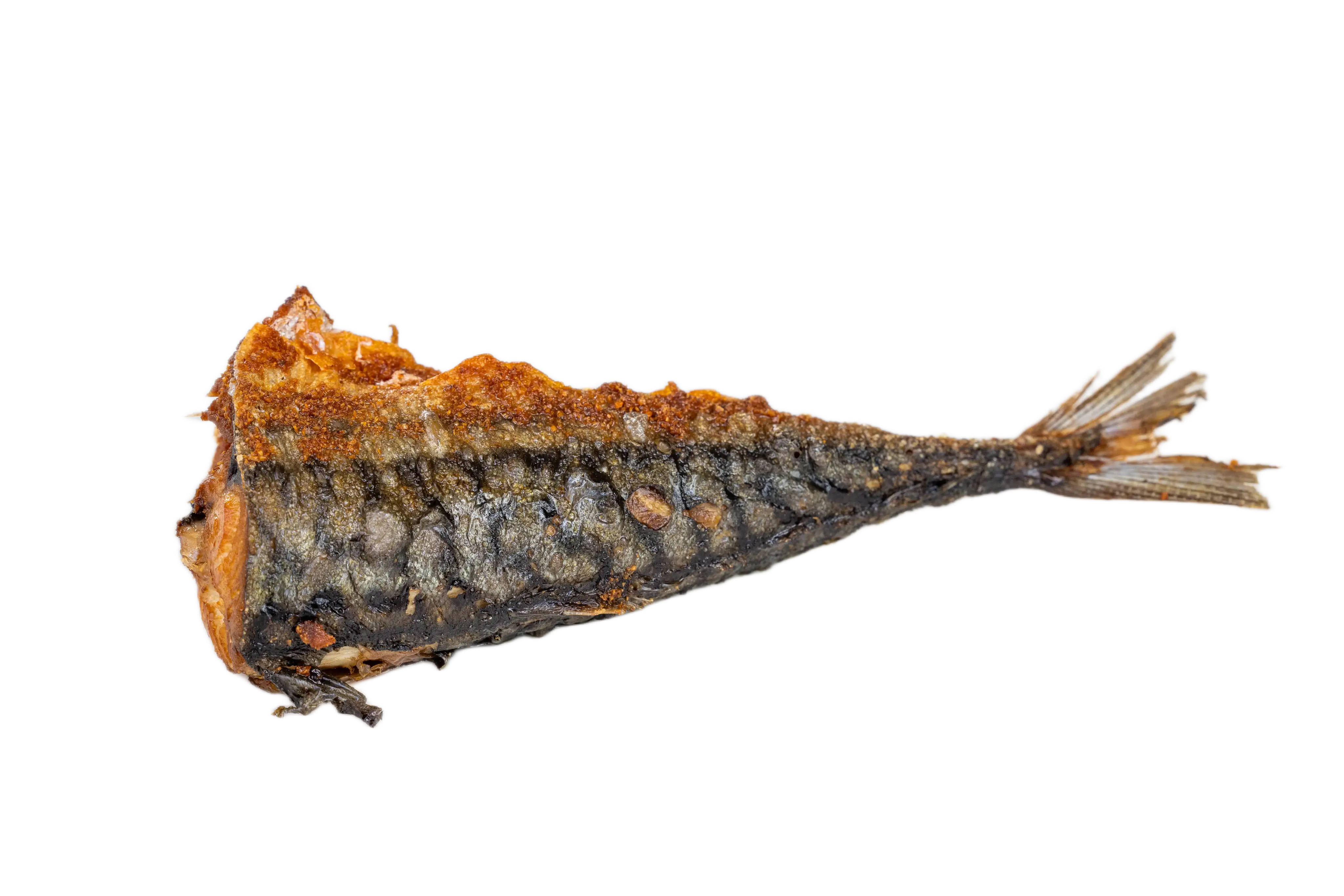 Fish
